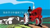 你在学习中遇到了什么困难?