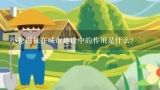 小挖掘机在城市建设中的作用是什么?