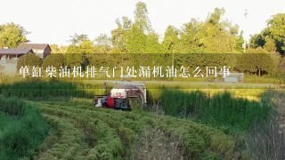 单缸柴油机排气门处漏机油怎么回事