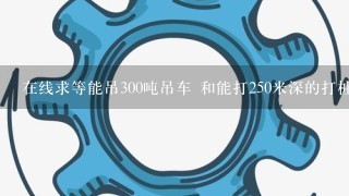 在线求等能吊300吨吊车 和能打250米深的打桩机价钱