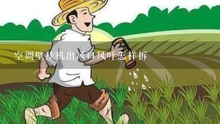 空调壁挂机出风口风叶怎样拆