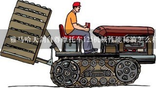 雅马哈天剑自尊摩托车125机械性能耗油怎么样用什么型号机油