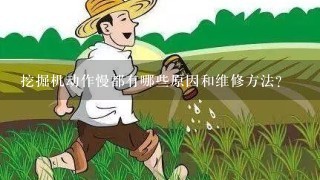 挖掘机动作慢都有哪些原因和维修方法？