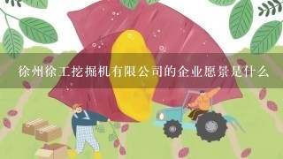 徐州徐工挖掘机有限公司的企业愿景是什么