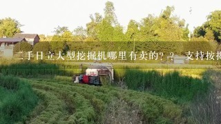 二手日立大型挖掘机哪里有卖的？？ 支持按揭吗？？