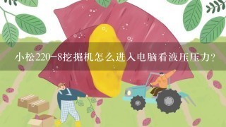 小松220-8挖掘机怎么进入电脑看液压压力？