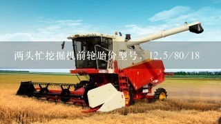 两头忙挖掘机前轮胎价型号，<br/>12、5/80/18