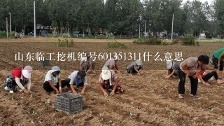 山东临工挖机编号601351311什么意思