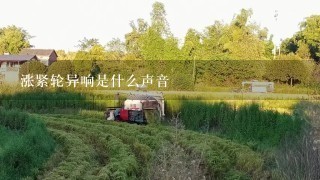 涨紧轮异响是什么声音