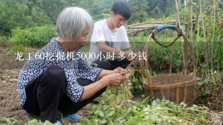 龙工60挖掘机5000小时多少钱