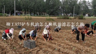 柳工855铲车机油怎么换机油滤芯怎么换