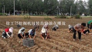 徐工75挖掘机回转齿轮油在哪放