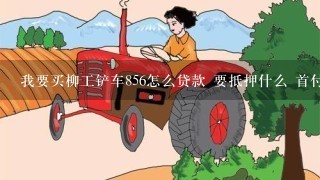 我要买柳工铲车856怎么贷款 要抵押什么 首付多钱 可以多长时间还完！