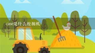 case是什么挖掘机