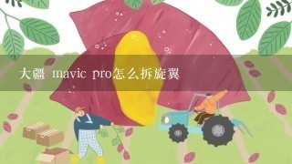 大疆 mavic pro怎么拆旋翼