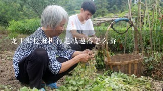 龙工85挖掘机行走减速器怎么拆