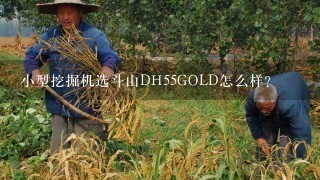 小型挖掘机选斗山DH55GOLD怎么样？