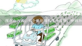 现在山西省，买个新挖掘机多少钱啊，神钢360.按揭贷