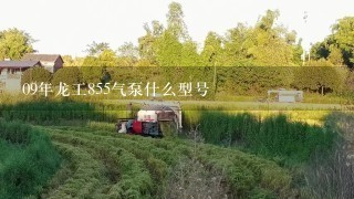 09年龙工855气泵什么型号