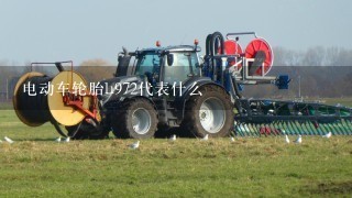 电动车轮胎h972代表什么