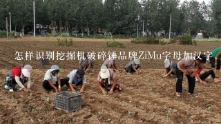 怎样识别挖掘机破碎锤品牌ZiMu字母加汉字，谢谢？