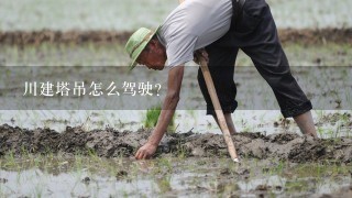 川建塔吊怎么驾驶？