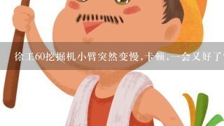 徐工60挖掘机小臂突然变慢,卡顿,一会又好了？