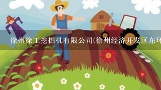 徐州徐工挖掘机有限公司(徐州经济开发区东环工业园28号)在金山桥吗?开车的话怎么走??