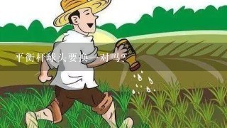 平衡杆球头要换一对吗？