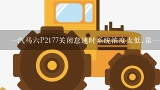 一汽马六P2177关闭怠速时系统浓度太低,第一排故障怎么排除