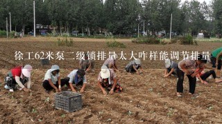 徐工62米泵二级锁排量太大咋样能调节排量