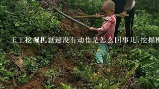 玉工挖掘机怠速没有动作是怎么回事儿,挖掘机主安全