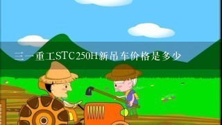 31重工STC250H新吊车价格是多少