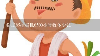 临工85挖掘机6500小时收多少钱