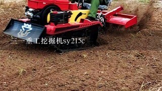 31重工挖掘机sy215c