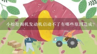 小松挖掘机发动机启动不了有哪些原因造成？