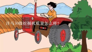 洋马30微挖掘机质量怎么样?