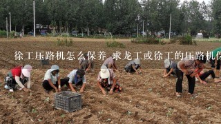 徐工压路机怎么保养 求龙工或徐工的压路机保养说明书 1定要注明怎么保养 保养的过程 谢谢了