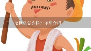 31挖掘机怎么样？详细介绍