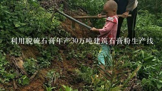 利用脱硫石膏年产30万吨建筑石膏粉生产线