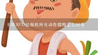 卡特307D挖掘机所有动作都慢怎么回事