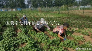 5菱宏光刹车油怎么放气气？