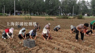 上海彭浦挖掘机