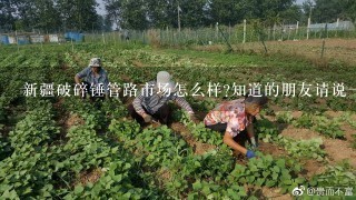 新疆破碎锤管路市场怎么样?知道的朋友请说1下好嘛