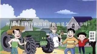 榨油机进料口和出饼口出油是怎么回事呀？