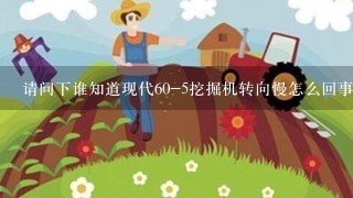 请问下谁知道现代60-5挖掘机转向慢怎么回事？别的动作都正常，就是旋转慢，谢了大家