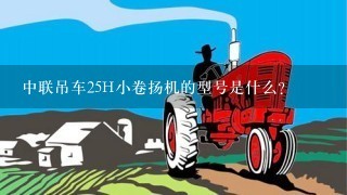 中联吊车25H小卷扬机的型号是什么？