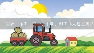 雷萨、徐工、<br/>31、中联、柳工几大起重机品牌，各有