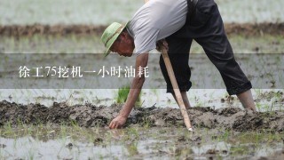 徐工75挖机1小时油耗