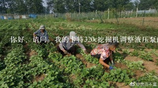 你好、请问：我的卡特320c挖掘机调整液压泵的流量怎么调整。谢谢